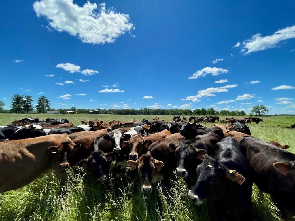 Photo of TBD 5th AVENUE, Camp Douglas, WI 54618 (MLS # 2014671)