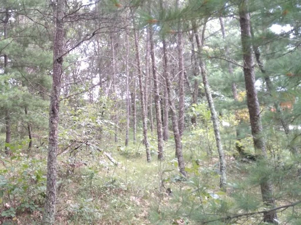 Photo of 462 Duffers TRAIL, Nekoosa, WI 54457 (MLS # 2016746)