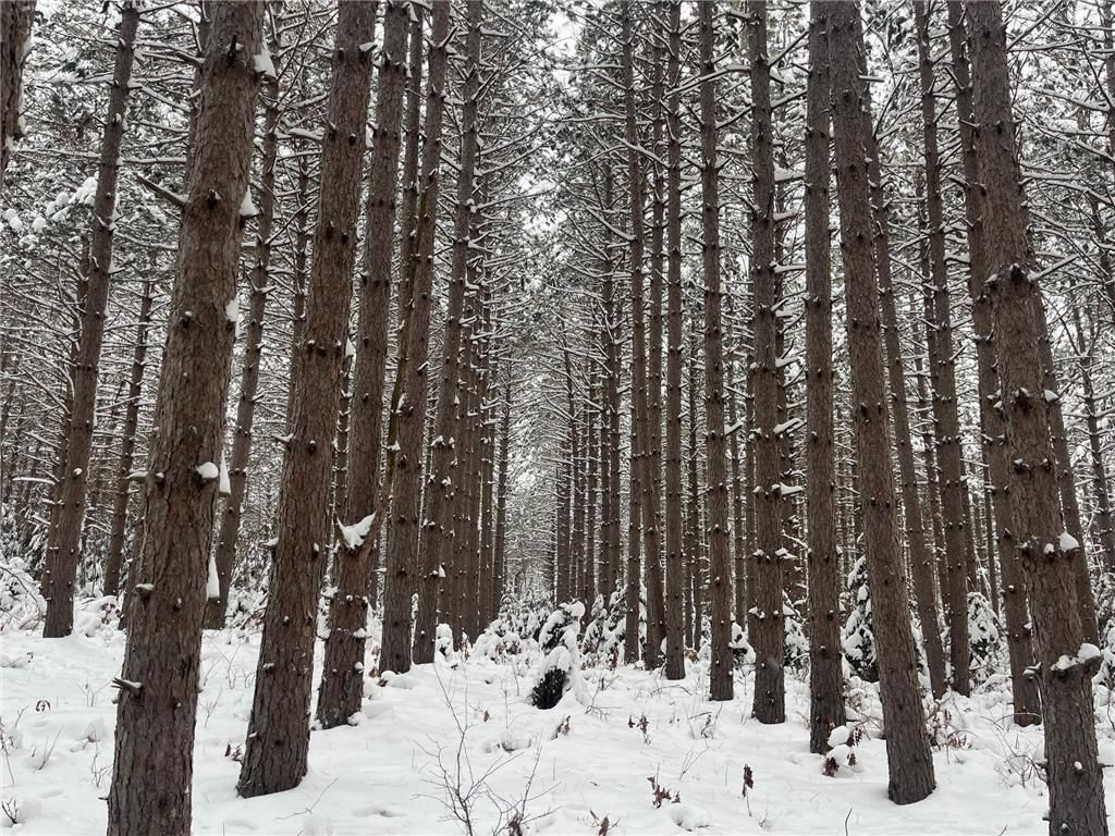 Photo of 29931 Minerva ROAD, Danbury, WI 54830 (MLS # 7004166)