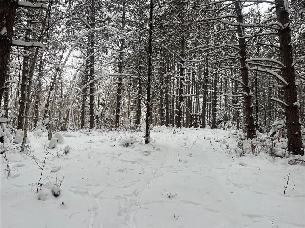 Photo of 29931 Minerva ROAD, Danbury, WI 54830 (MLS # 7004166)