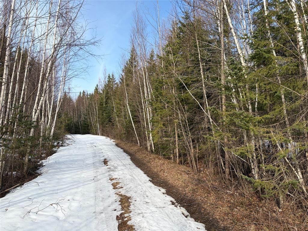 Photo of ON Cth Gg, Winter, WI 54896 (MLS # 1599272)