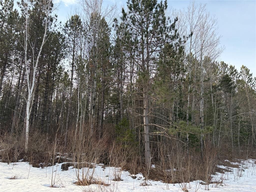 Photo of ON Barker Lake Road ROAD, Winter, WI 54896 (MLS # 1599276)