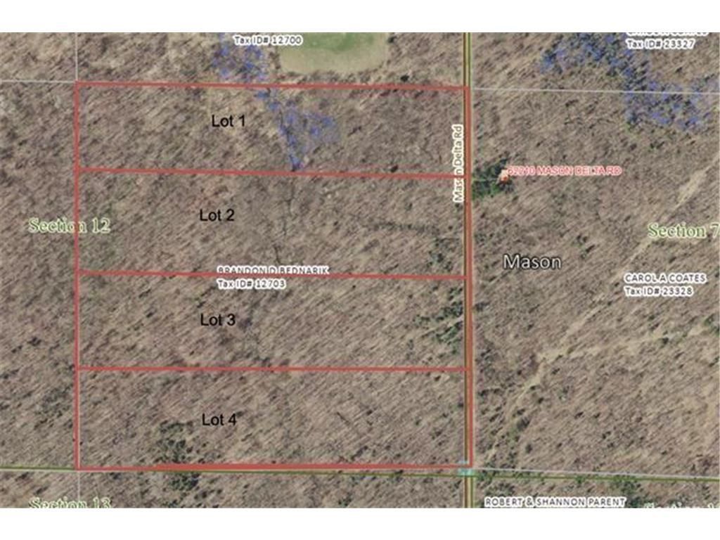 Photo of Lot 1 Mason Delta Rd, Delta, WI 54856 (MLS # 6806954)