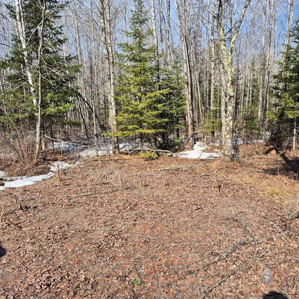 Photo of 0 US Highway 63, Hayward, WI 54843 (MLS # 1599275)