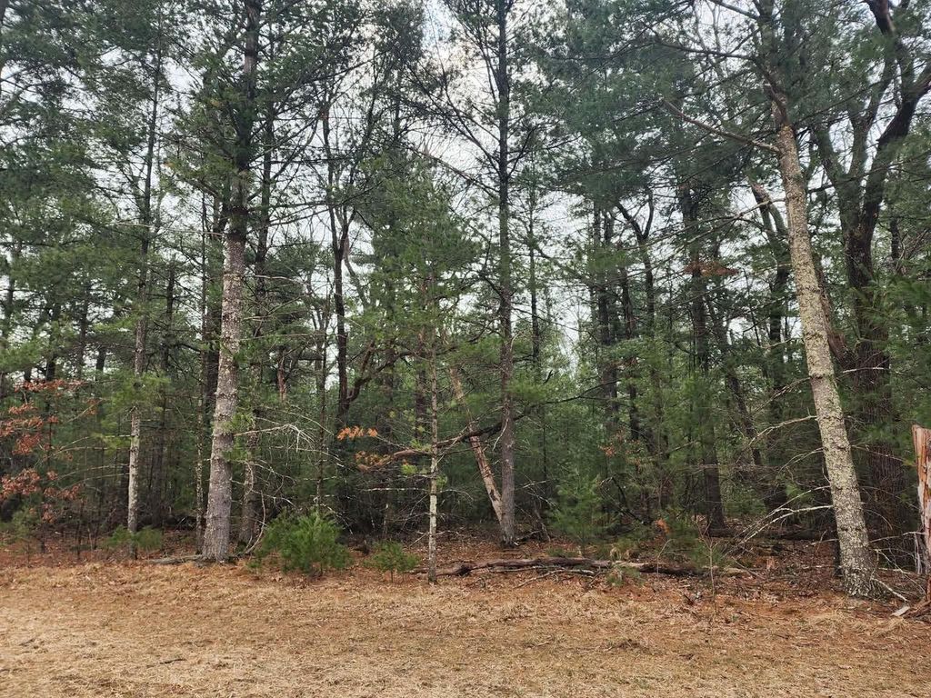 Photo of Dyke AVENUE, Adams, WI 53910 (MLS # 2019382)