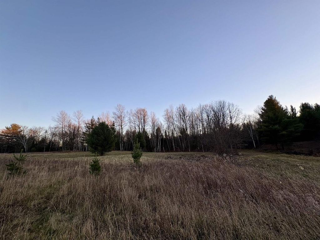 Photo of N488 Lukes Heights ROAD, Ogema, WI 54459 (MLS # 22505870)