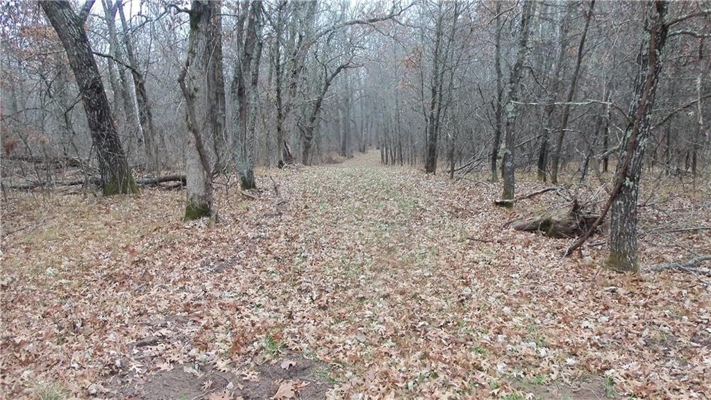 Photo of Lot 6 Canute Creek Trl, Grantsburg, WI 54840 (MLS # 1597811)
