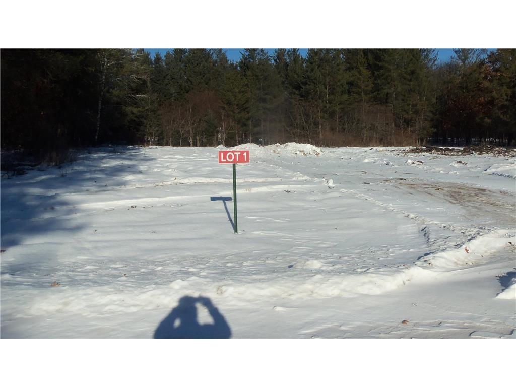 Photo of 13786 Canute Creek Trl, Grantsburg, WI 54840 (MLS # 7003731)