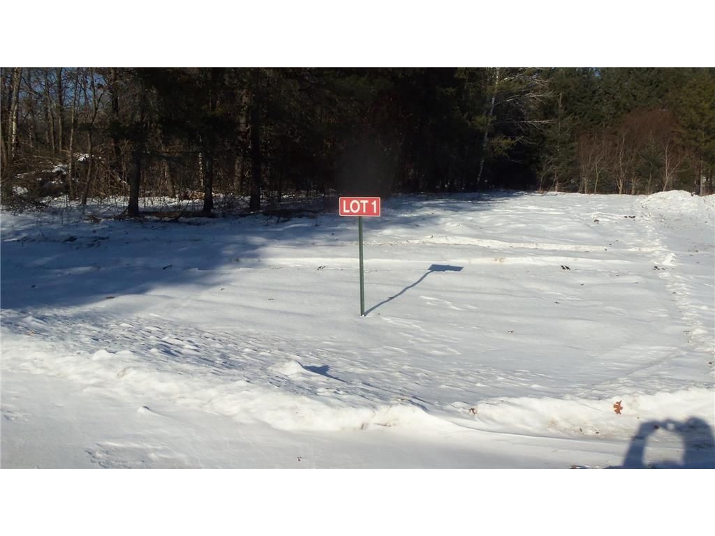 Photo of 13786 Canute Creek Trl, Grantsburg, WI 54840 (MLS # 7003731)