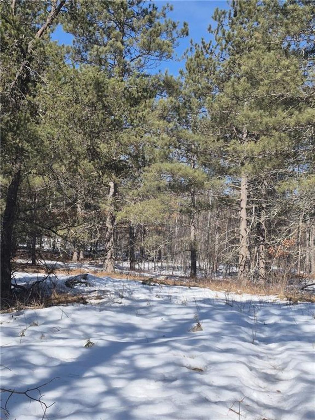 Photo of Lots 11 &amp; 12 Skylight ROAD, Danbury, WI 54830 (MLS # 1598895)