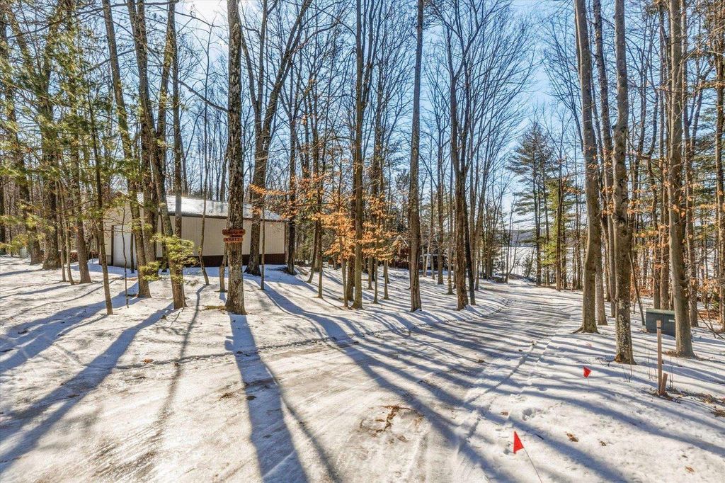 Photo of 17199 Bismark LANE, White Lake, WI 54491 (MLS # 50322097)