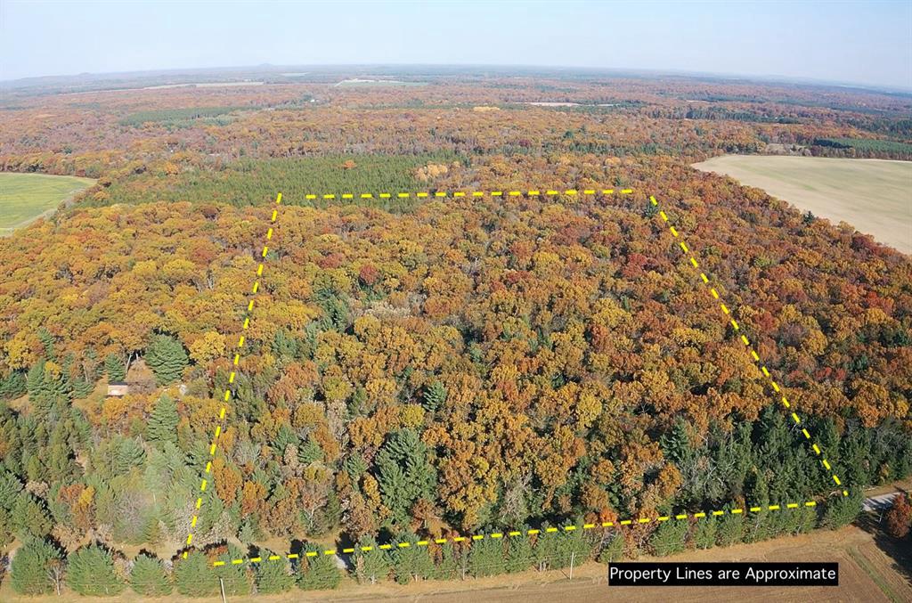 Photo of TBD Fish Drive, Grand Marsh, WI 53936 (MLS # 1606229)
