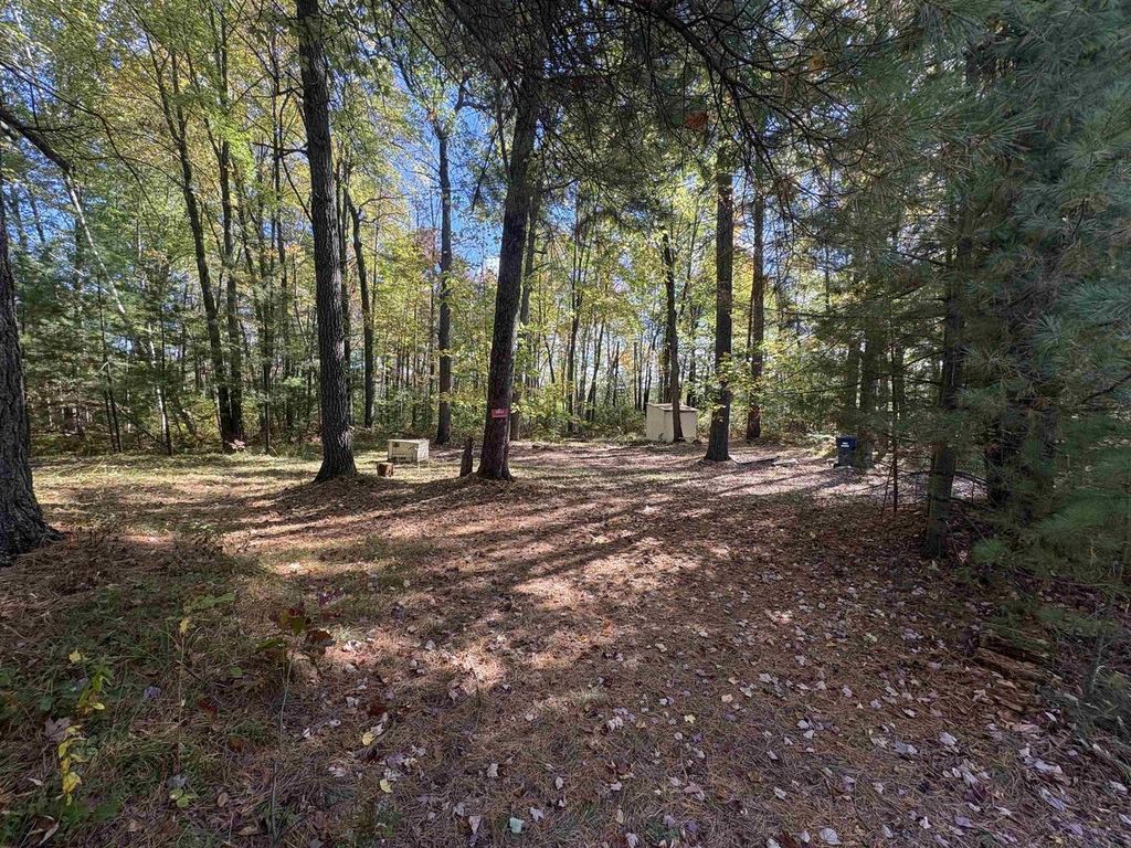Photo of N6912 Springbrook ROAD, Cecil, WI 54111 (MLS # 50317312)