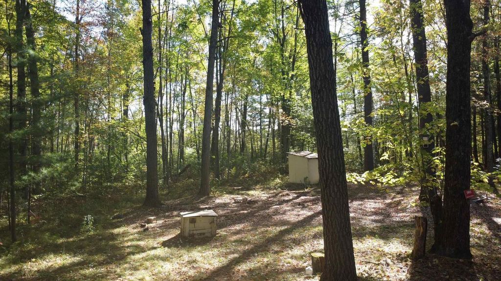 Photo of N6912 Springbrook ROAD, Cecil, WI 54111 (MLS # 50317312)