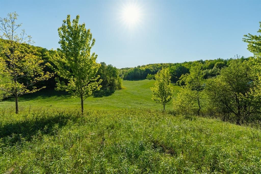 Photo of E3555 1120th AVENUE, Boyceville, WI 54725 (MLS # 1601582)