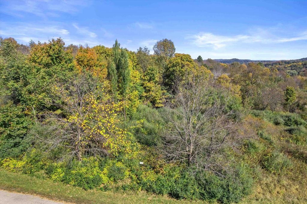 Photo of 1520 Staghorn COURT, Woodland, WI 53941 (MLS # 2010292)