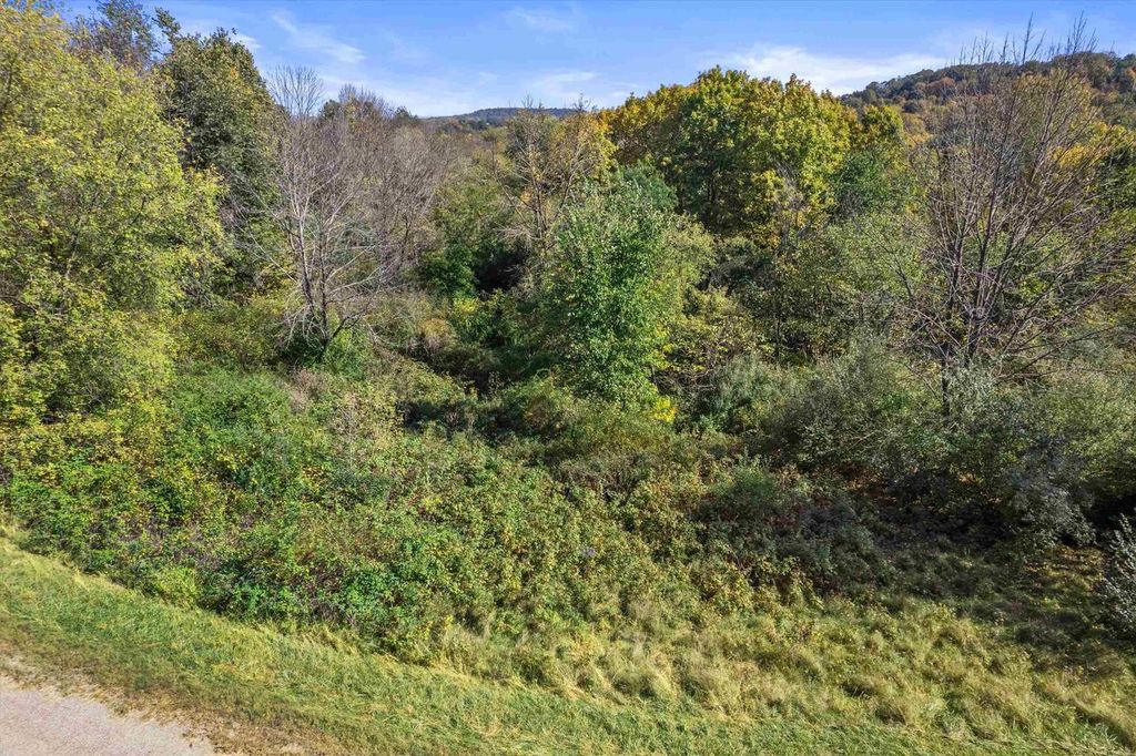 Photo of 1520 Staghorn COURT, Woodland, WI 53941 (MLS # 2010292)