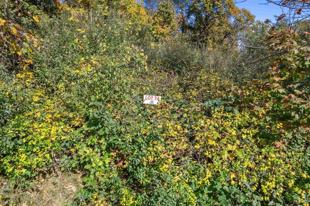 Photo of 1520 Staghorn COURT, Woodland, WI 53941 (MLS # 2010292)