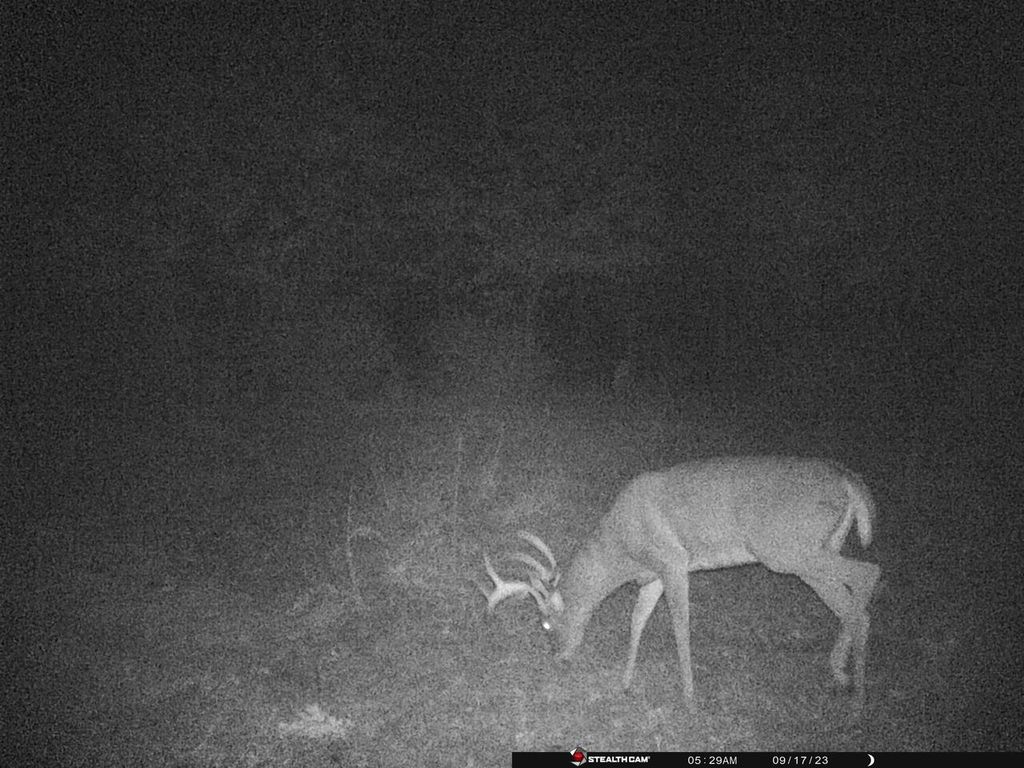 Photo of 731 E South Lake STREET, Hancock, WI 54943 (MLS # 50316968)