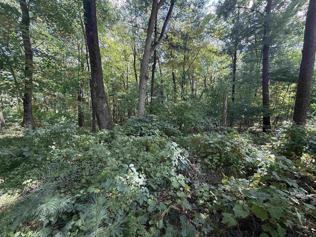 Photo of 200 Cliffside DRIVE, Wisconsin Dells, WI 53940 (MLS # 2008158)