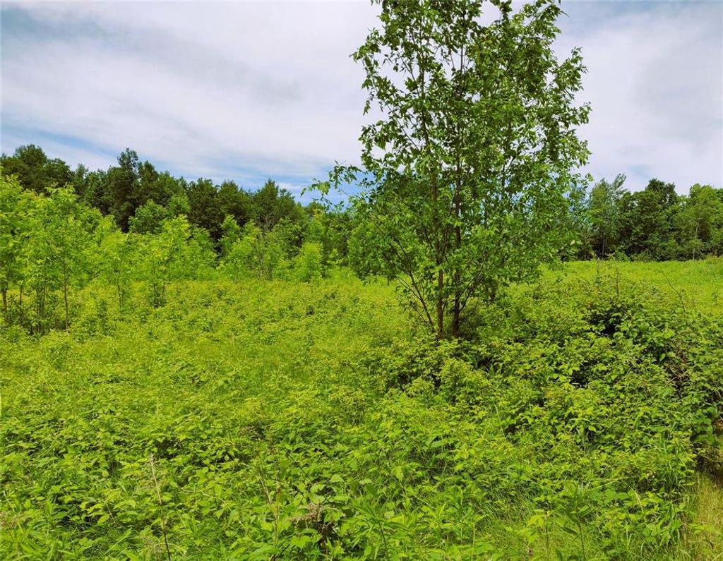 Photo of 1.35 Acres on Isabella LANE, Sheldon, WI 54766 (MLS # 1600871)