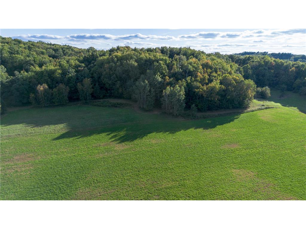 Photo of 420 420th Avenue, Menomonie, WI 54751 (MLS # 7153413)