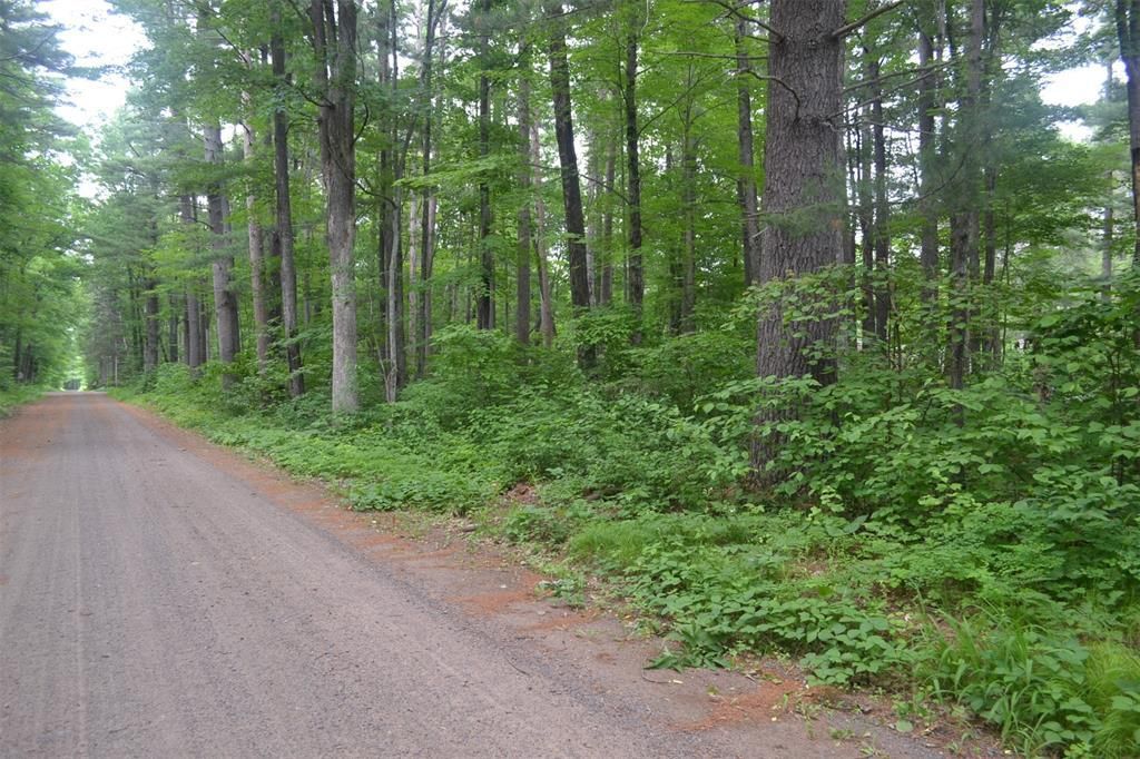 Photo of Lots 5-12 Block 16 Woodland AVENUE, Hayward, WI 54843 (MLS # 1602672)