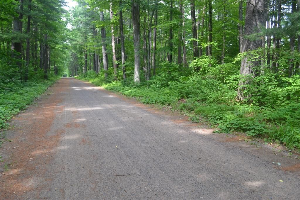 Photo of Lots 5-12 Block 16 Woodland AVENUE, Hayward, WI 54843 (MLS # 1602672)