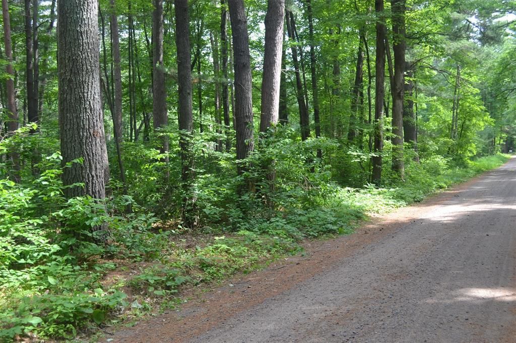 Photo of Lots 5-12 Block 16 Woodland AVENUE, Hayward, WI 54843 (MLS # 1602672)