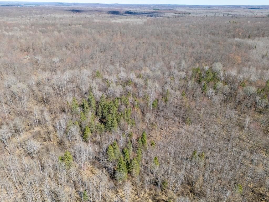 Photo of N5901 Camp AVENUE, Merrill, WI 54452 (MLS # 22601604)