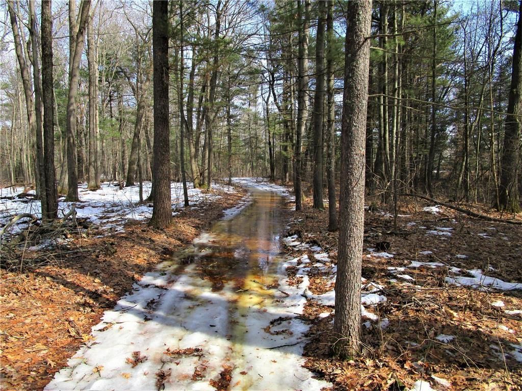 Photo of XX 120th STREET, Frederic, WI 54837 (MLS # 7031551)