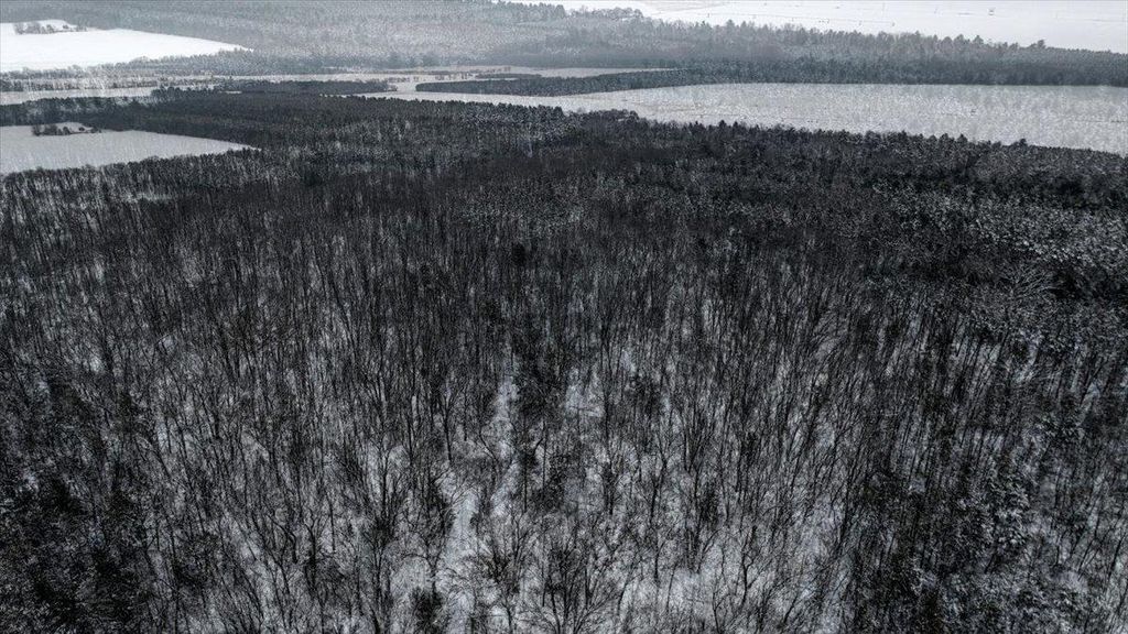 Photo of Lots 12 &amp; 13 County Road A, Grand Marsh, WI 53936 (MLS # 2013487)