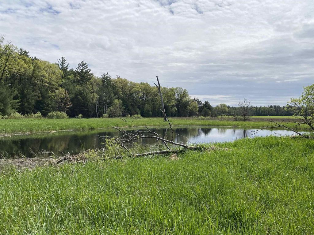 Photo of W8949 HWY 21 ROAD, Wautoma, WI 54982 (MLS # 2024109)