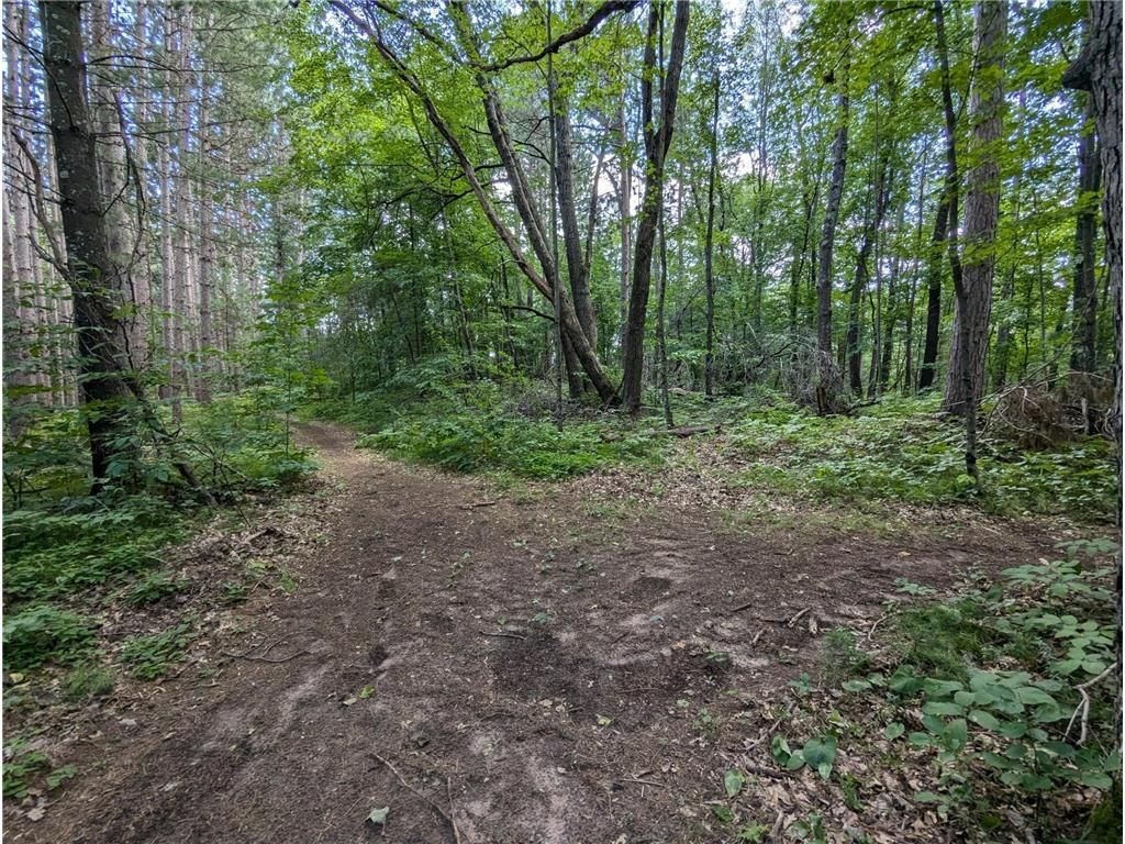 Photo of Lot 2 Fosmo, Webster, WI 54893 (MLS # 7041569)