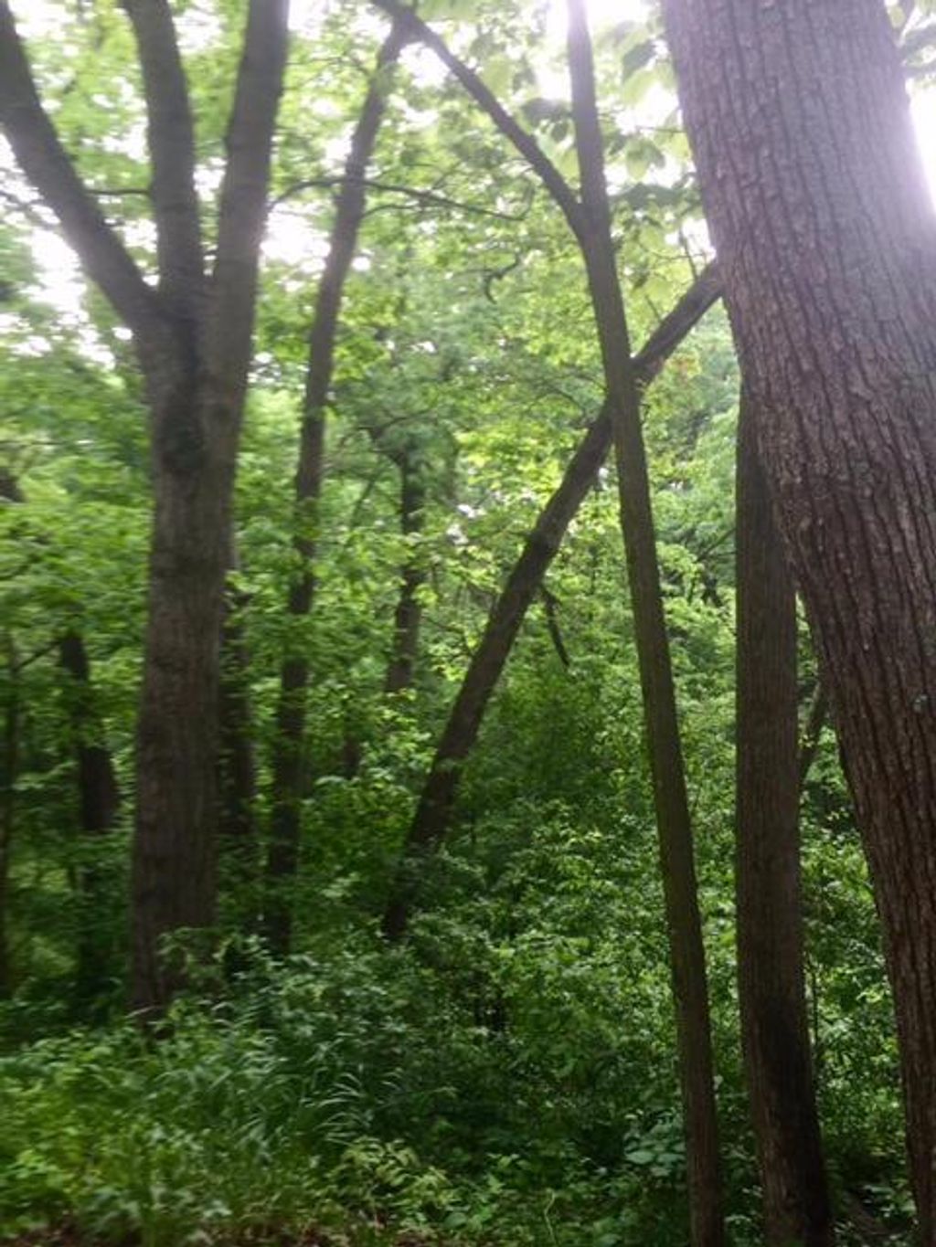 Photo of W5754 Nine Indian TRAIL, Elkhorn, WI 53121 (MLS # 1948907)