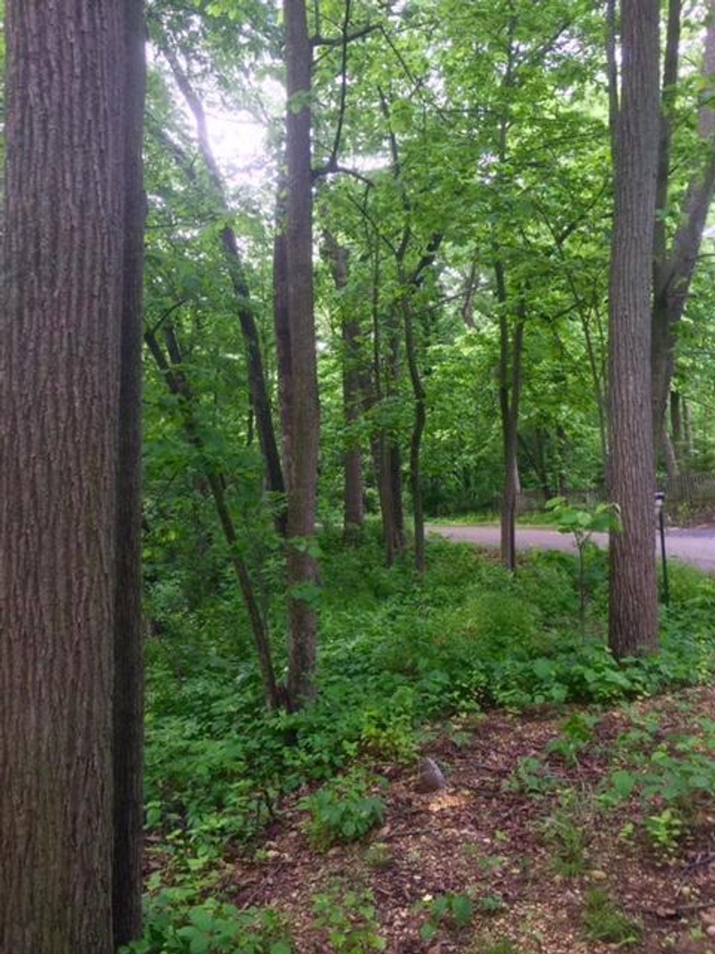 Photo of W5754 Nine Indian TRAIL, Elkhorn, WI 53121 (MLS # 1948907)