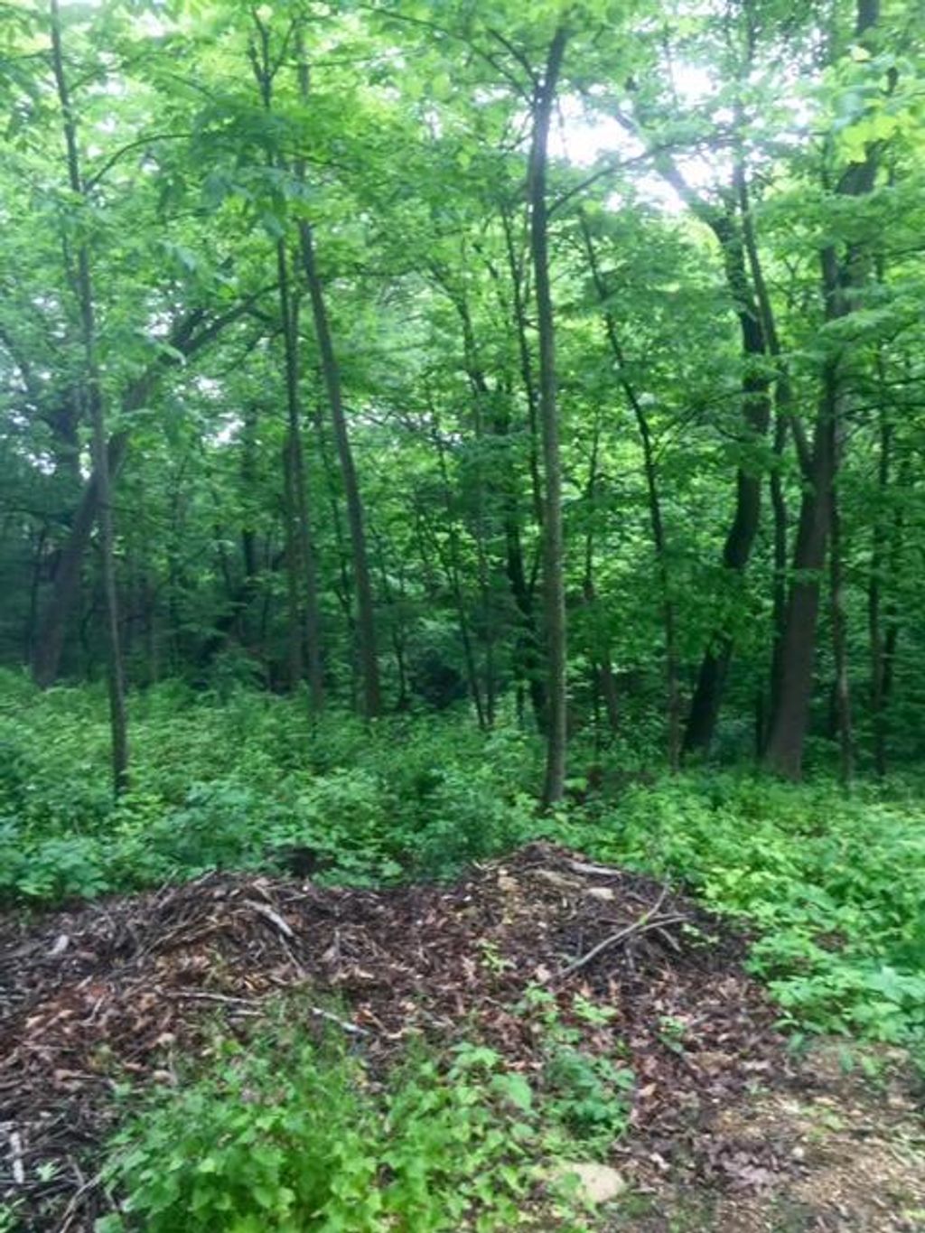 Photo of W5754 Nine Indian TRAIL, Elkhorn, WI 53121 (MLS # 1948907)