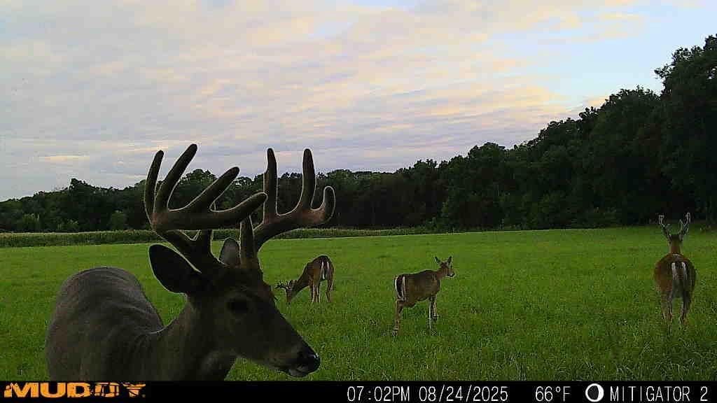 Photo of N4893 10th AVENUE, Montello, WI 53949 (MLS # 2016536)