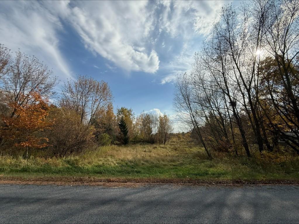 Photo of 2.74 Acres Stettin DRIVE, Marathon, WI 54448 (MLS # 22605134)