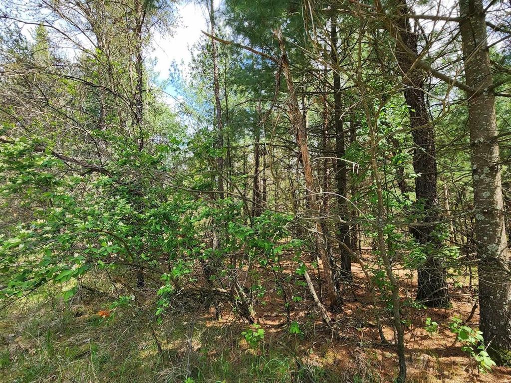 Photo of Lot 303 Cypress DRIVE, Arkdale, WI 54613 (MLS # 2017110)