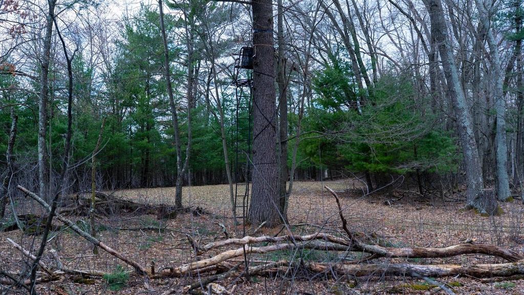 Photo of Lot 4 +/- 111Ac Dover DRIVE, Adams, WI 53910 (MLS # 2020066)