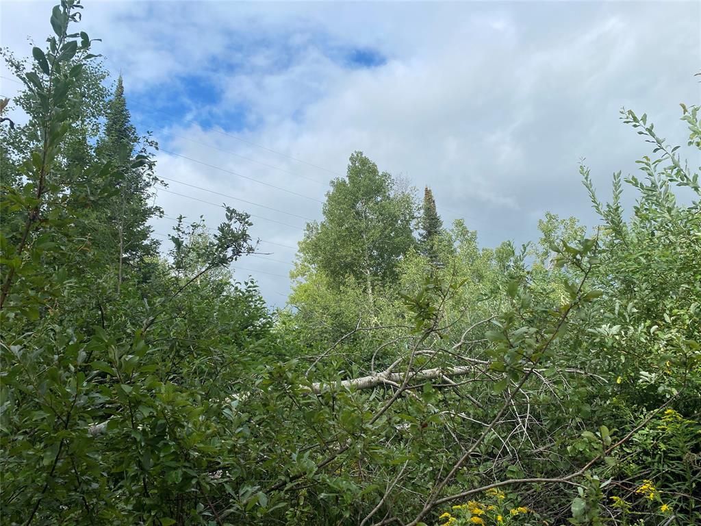 Photo of ON Delap Lane, Couderay, WI 54828 (MLS # 1599289)
