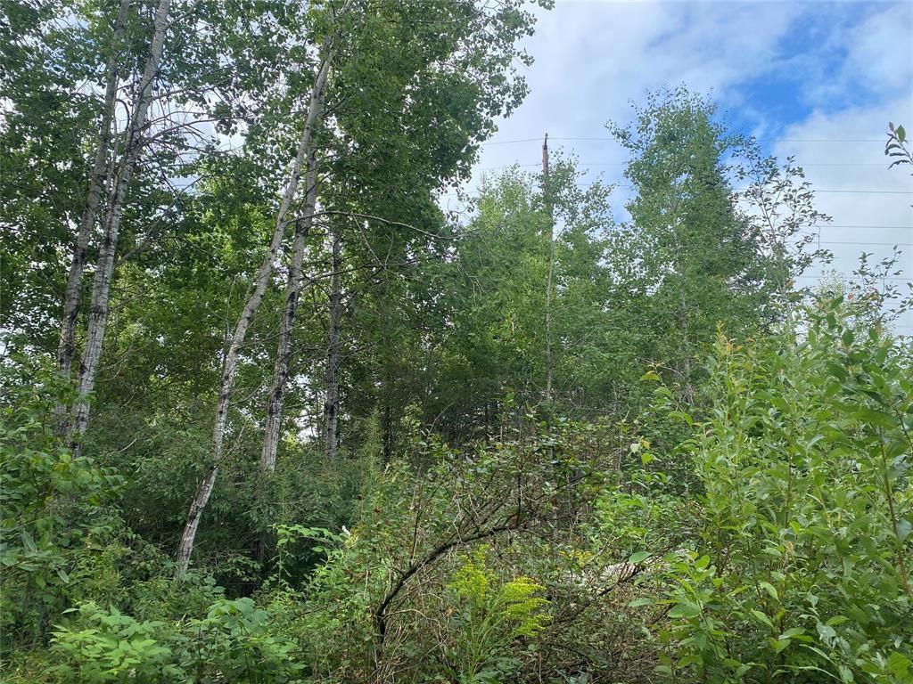 Photo of ON Delap Lane, Couderay, WI 54828 (MLS # 1599289)