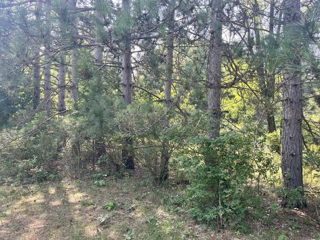 Photo of Lot 16 S Czech COURT, Friendship, WI 53934 (MLS # 2028416)