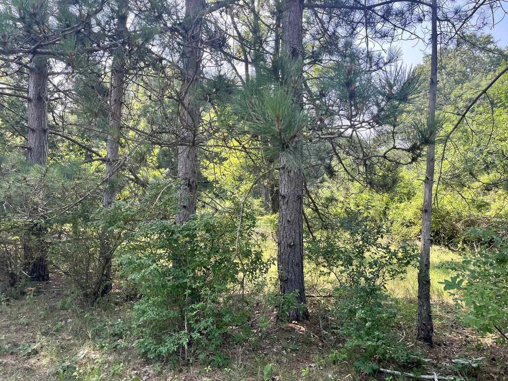 Photo of Lot 16 S Czech COURT, Friendship, WI 53934 (MLS # 2028416)