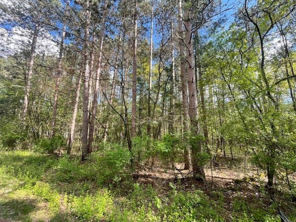 Photo of Lots 4 &amp; 5 S Czech LANE, Friendship, WI 53934 (MLS # 2022744)
