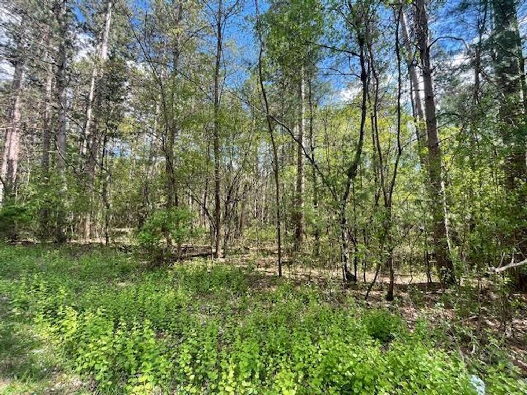 Photo of Lots 4 &amp; 5 S Czech LANE, Friendship, WI 53934 (MLS # 2022744)