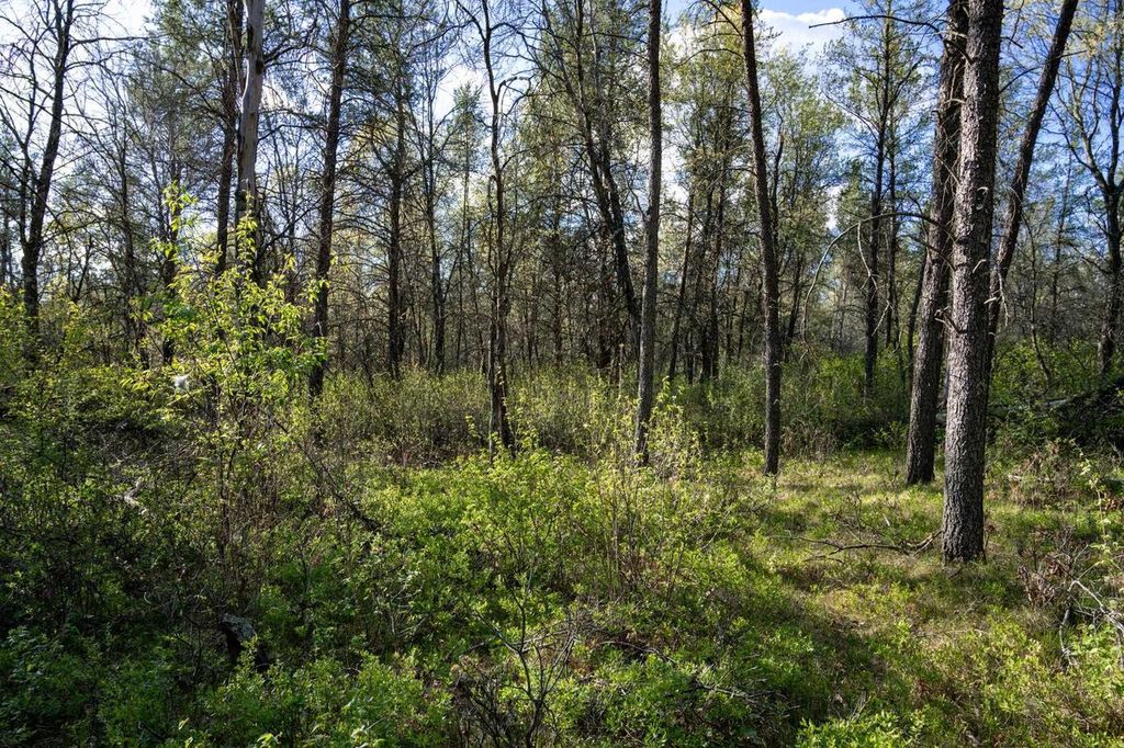 Photo of 2 Ac 25th St E, Necedah, WI 54646 (MLS # 2023427)