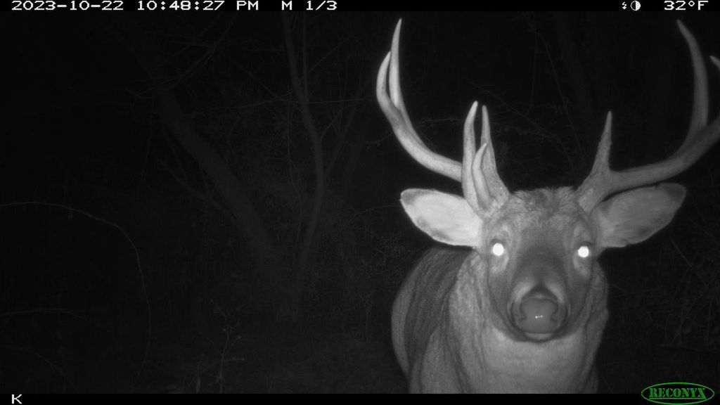 Photo of 00 Wheat Hollow ROAD, Cazenovia, WI 53924 (MLS # 2016287)