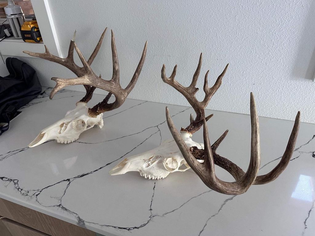 Photo of 00 Wheat Hollow ROAD, Cazenovia, WI 53924 (MLS # 2016287)